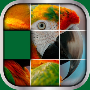 Animals Sliding Puzzle Game – Move and Match Pieces to Put Together Cute Pets Photos