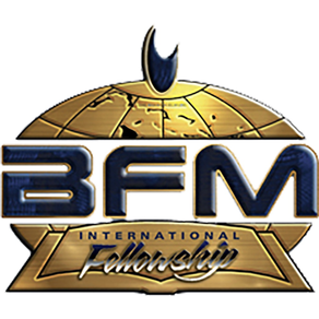 BMFI