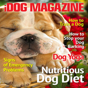iDog Magazine - The Best new Dog, Puppy Training, advice and tips Magazine for Dog Owners