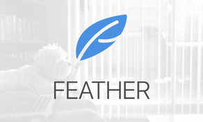 Feather - Nest Device Controller for Apple TV