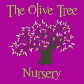 The Olive Tree Nursery