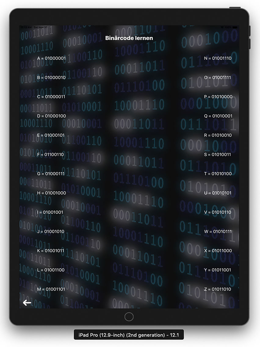 BinHexConverter poster