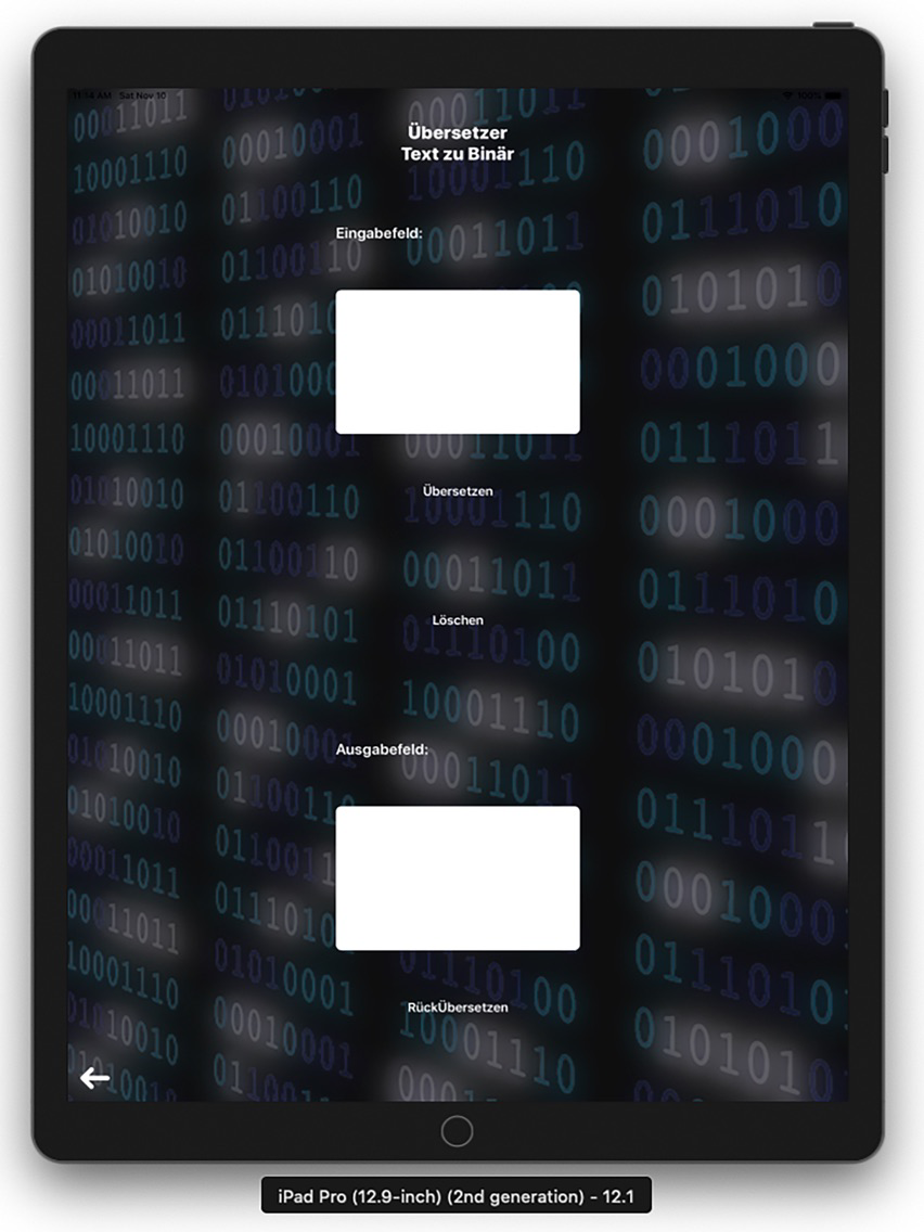 BinHexConverter poster