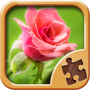 Fleurs Puzzle - Puzzles de Logique Amusant