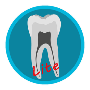 Dental Corpus Anatomy Lite