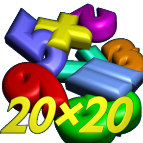 Multiplication 20×20