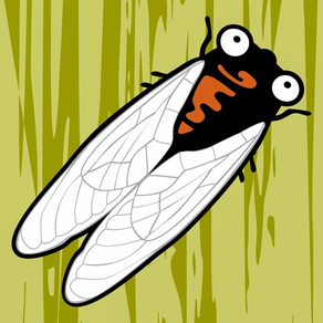 Cicada Hunt