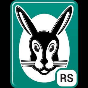 Vaillant Partner RS