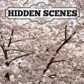 Hidden Scenes - First of Spring