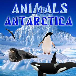 Animals of Antarctica