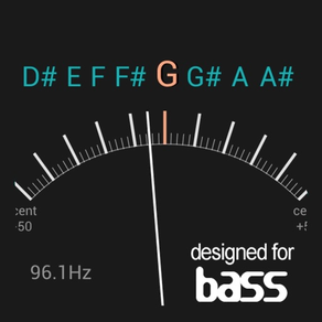 Fine Bass Tuner / afinador de bajo