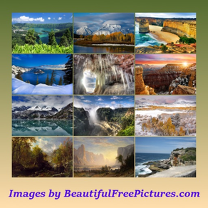 Beautiful Picture Puzzle Z