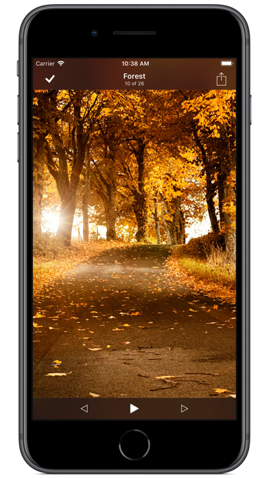8player 포스터