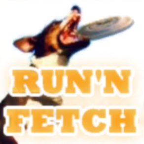 Run'n Fetch