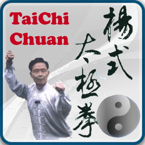 Taijiquan