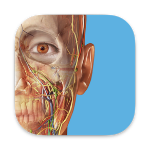 Atlas de anatomía humana en 3D