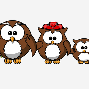 Owl Fever Stickers