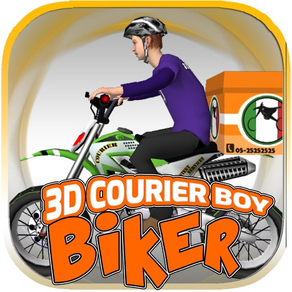 3D Courier Boy Biker