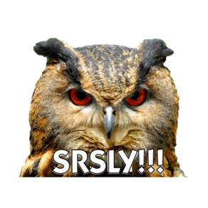 Talking Owl Sticker for iMessage