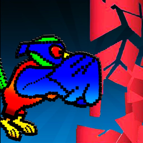 Ninja Birds Games - Angry Run