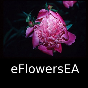 Wildflowers of Europe & Asia - A Wildflowers App