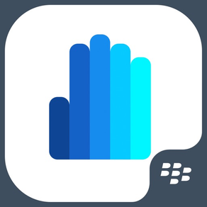 BigHand for BlackBerry