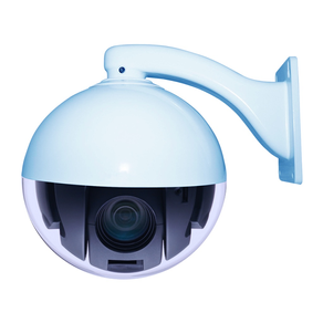 Viewer for D-link IP cameras