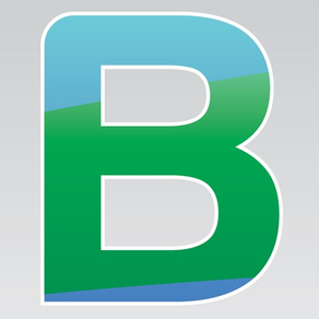 BitaBIZ