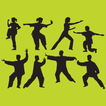 Tai Chi Master Class