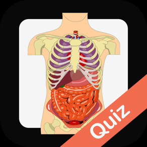 Human Biology Quiz Trivia