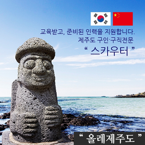 스카우터 올레제주도