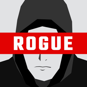 Rogue Hacker