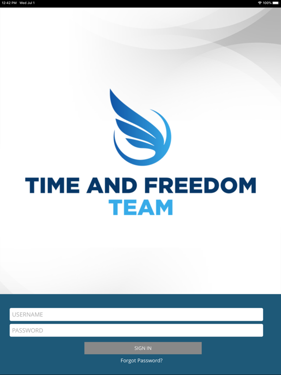 Time and Freedom Team poster