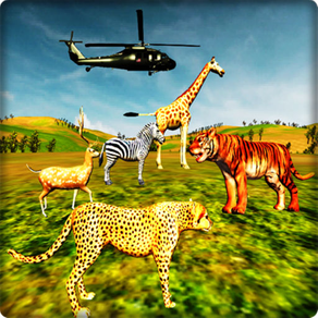 Wild Jungle Animals Hunting