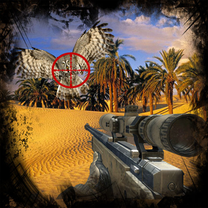 Safari Desert Shooting