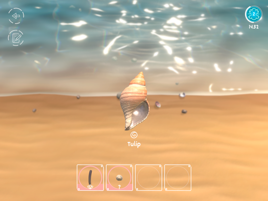 Seashell poster