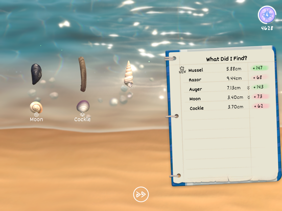 Seashell poster