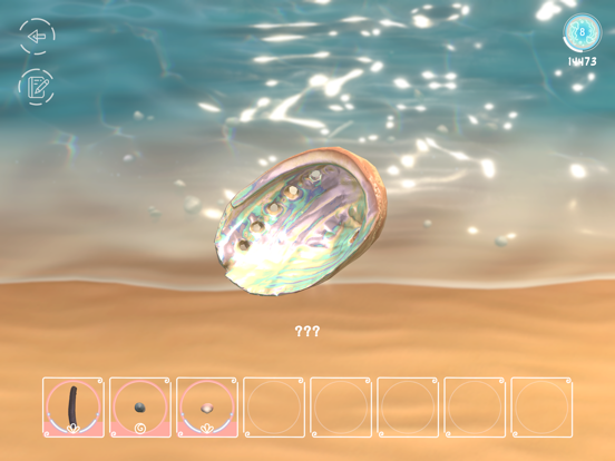Seashell poster