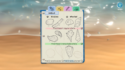 Seashell poster
