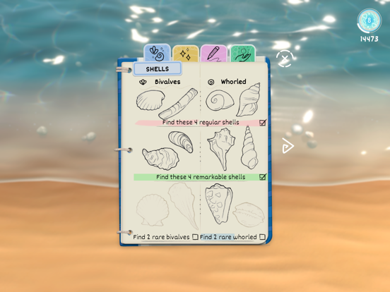 Seashell poster