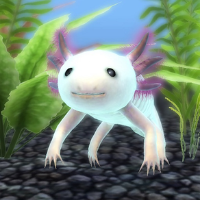 My Axolotl Aquarium