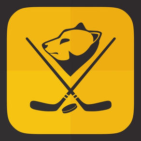 Boston Bruins Hockey Fan News