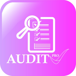 Audit Pro App