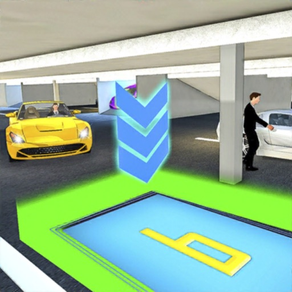 Master Car Parking Simulator