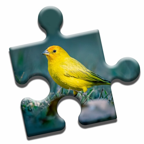 Bird Watching Puzzle