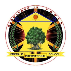 Emerald School Palwal