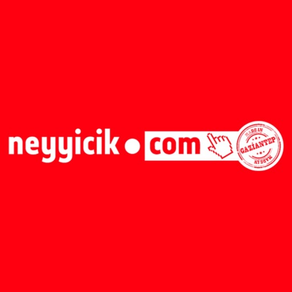 Neyyicik