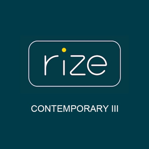 Rize Contemporary III - O