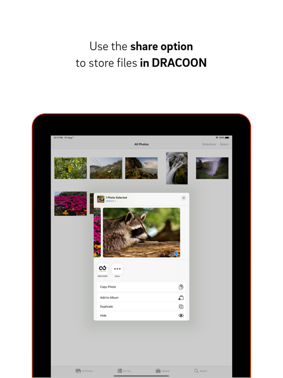 DRACOON Server poster