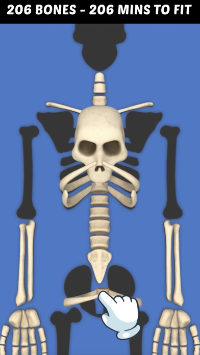 Bones Match 3D poster